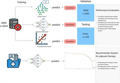 Development and validation of machine learning models to predict survival of patients with resected stage-III NSCLC